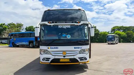 DAMRI Bus-Front Image