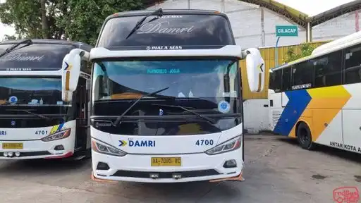 DAMRI Bus-Front Image
