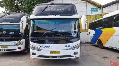 DAMRI Bus-Front Image