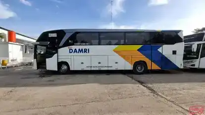 DAMRI Bus-Side Image