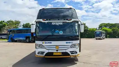 DAMRI Bus-Front Image