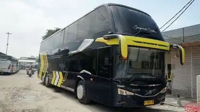 DAMRI Bus-Front Image