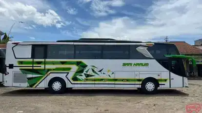 Sari Harum Bus-Side Image