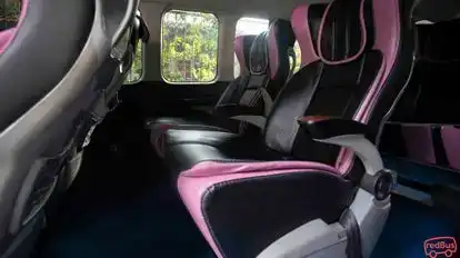 Pasteur Trans Bus-Seats Image