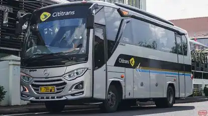 Cititrans Bus-Side Image