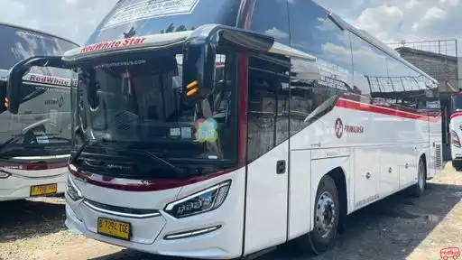 Primajasa Bus Bandara Bus-Front Image