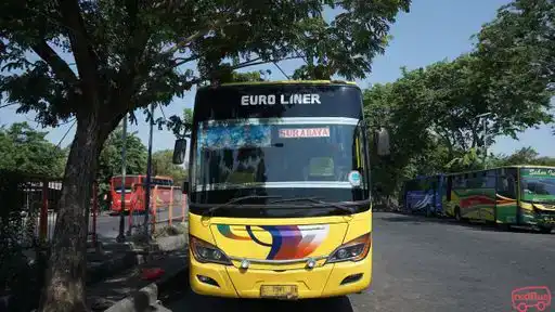 PO MAWAR Bus-Front Image