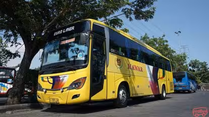 PO MAWAR Bus-Front Image