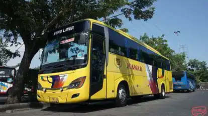 PO Mawar Bus-Front Image