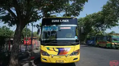PO MAWAR Bus-Front Image