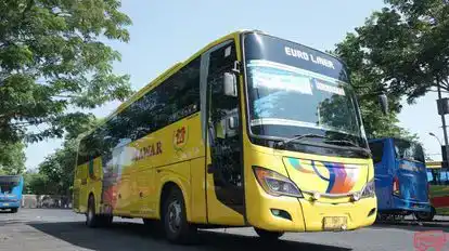 PO Mawar Bus-Front Image