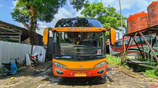 Neo Trans Bus-Front Image