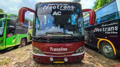 Neo Trans Bus-Front Image