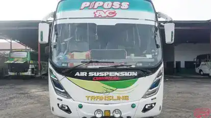 Neo Trans Bus-Front Image