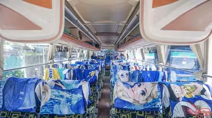 Neo Trans Bus-Seats layout Image