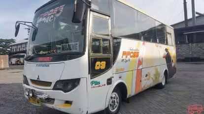 Neo Trans Bus-Front Image