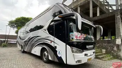 Handoyo Bus-Side Image