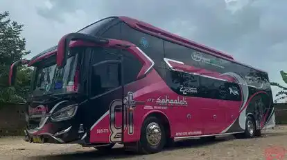 Sahaalah Bus-Side Image