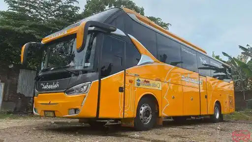 Sahaalah Bus-Front Image