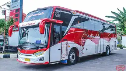 Sahaalah Bus-Side Image