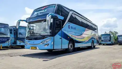 Blue Line Bus-Front Image