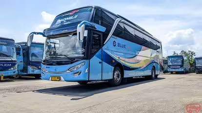 Blue Line Bus-Front Image