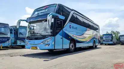 Blue Line Bus-Front Image