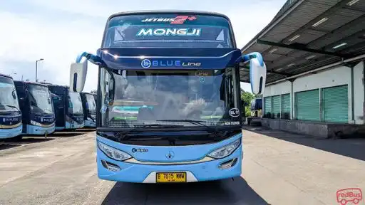 Blue Line Bus-Front Image