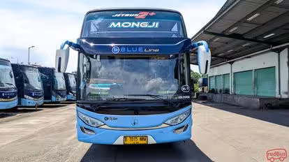 Blue Line Bus-Front Image