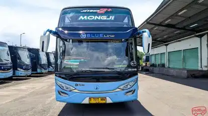 Blue Line Bus-Front Image