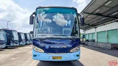 Blue Line Bus-Front Image