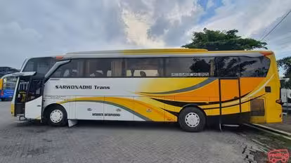 Sarwonadhi Trans Bus-Side Image