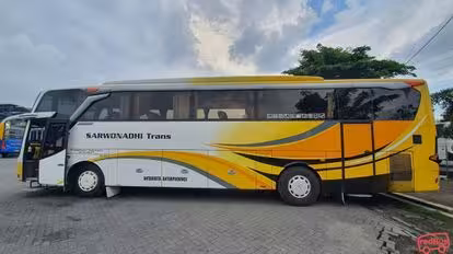 Sarwonadhi Trans Bus-Side Image