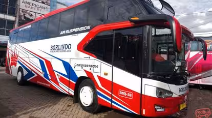 Borlindo Bus-Side Image