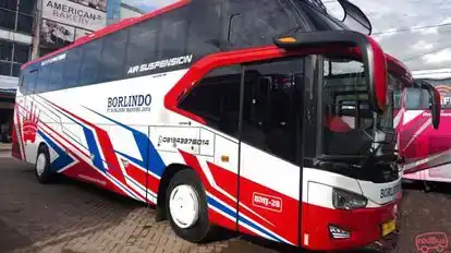 Borlindo Bus-Side Image