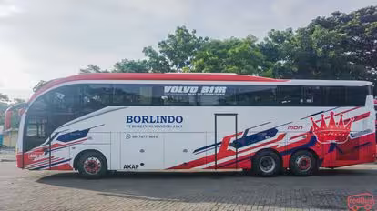 Borlindo Bus-Side Image