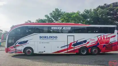 Borlindo Bus-Side Image