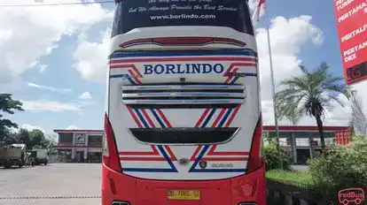 Borlindo Bus-Front Image