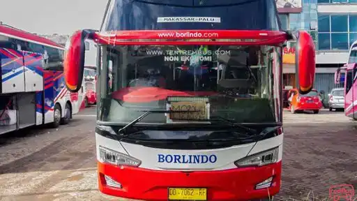 Borlindo Bus-Front Image
