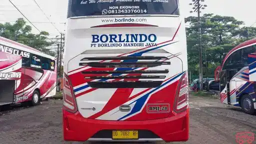 Borlindo Bus-Front Image
