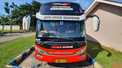 Mayora Trans Bus-Front Image