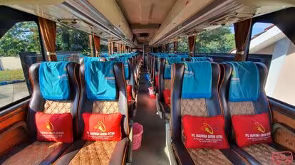 Mayora Trans Bus-Seats Image