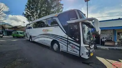 Purnayasa Bus-Side Image