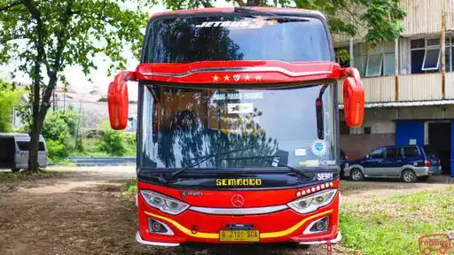 SEMBODO Bus-Front Image