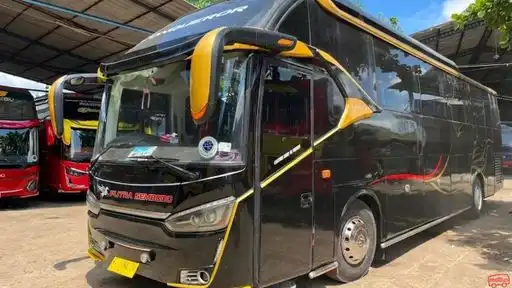 SEMBODO Bus-Front Image