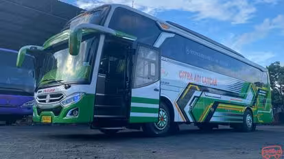 Citra Adi Lancar Bus-Front Image