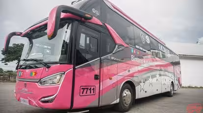 Bintang Katulistiwa Bus-Side Image
