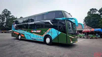Berlian Jaya Bus-Front Image