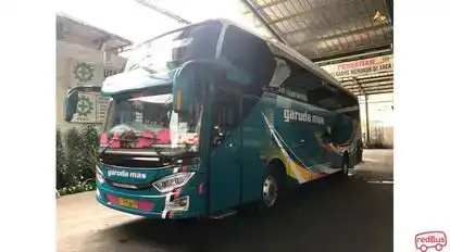 Garuda Mas Bus-Front Image