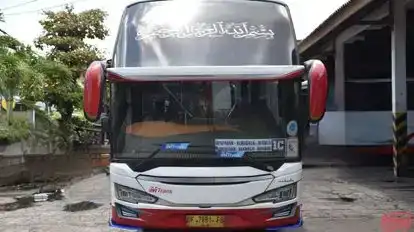 MTrans Bus-Front Image
